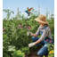 Piquet de jardin statuaire en métal fabriqué à la main-426310249