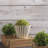 Metal Pot Planter