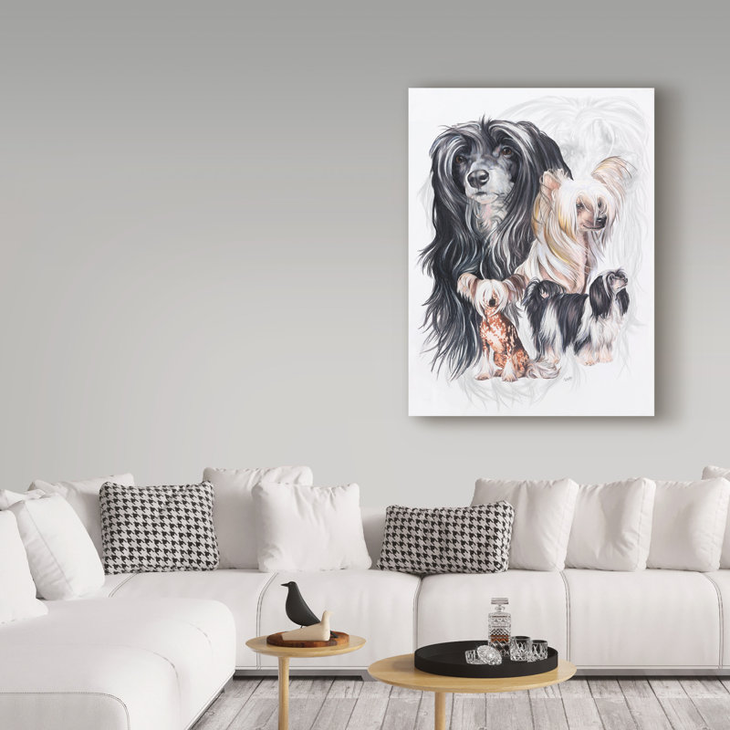 "Chien chinois à crête" par Adelphi, reproduction de photo sur toile tendue, H 19 po x l 14 po