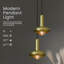 Crystol 1 - Light Dome Pendant-406046872