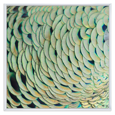 «Green Peacock Feathers III», reproduction d'art sur toile