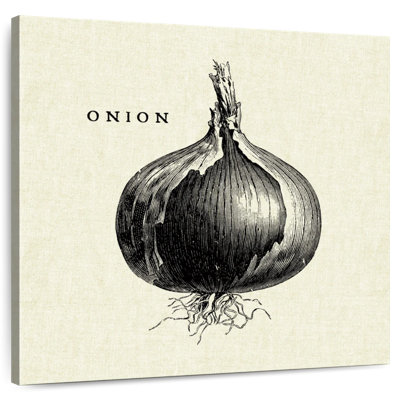 Yarlin Linen Vegetable BW Sketch Onion