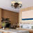 20.4" Bloneva Farmhouse Caged Ceiling Fan with Light Kit and Remote Control Included-1670758969