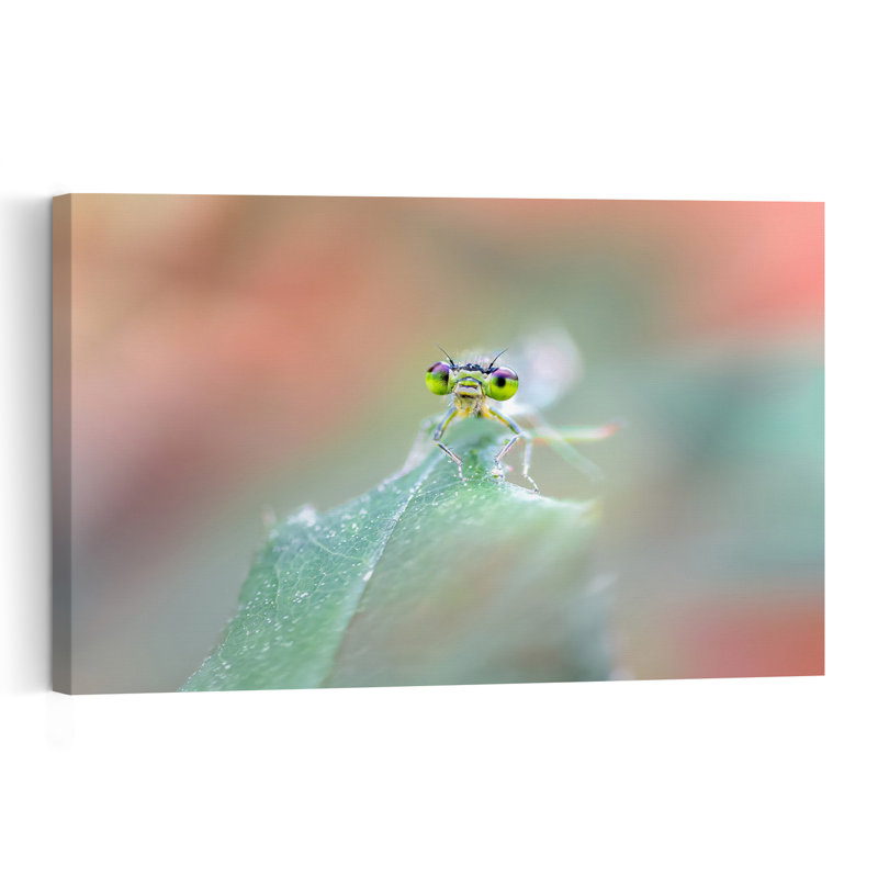 Libellule verte curieuse, paysage abstrait contemporain, affiche murale nature, 16" H x 24" W