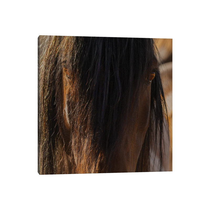 Eyes by Sally Linden - Wrapped Canvas Print, 30.48 cm H x 30.48 cm W