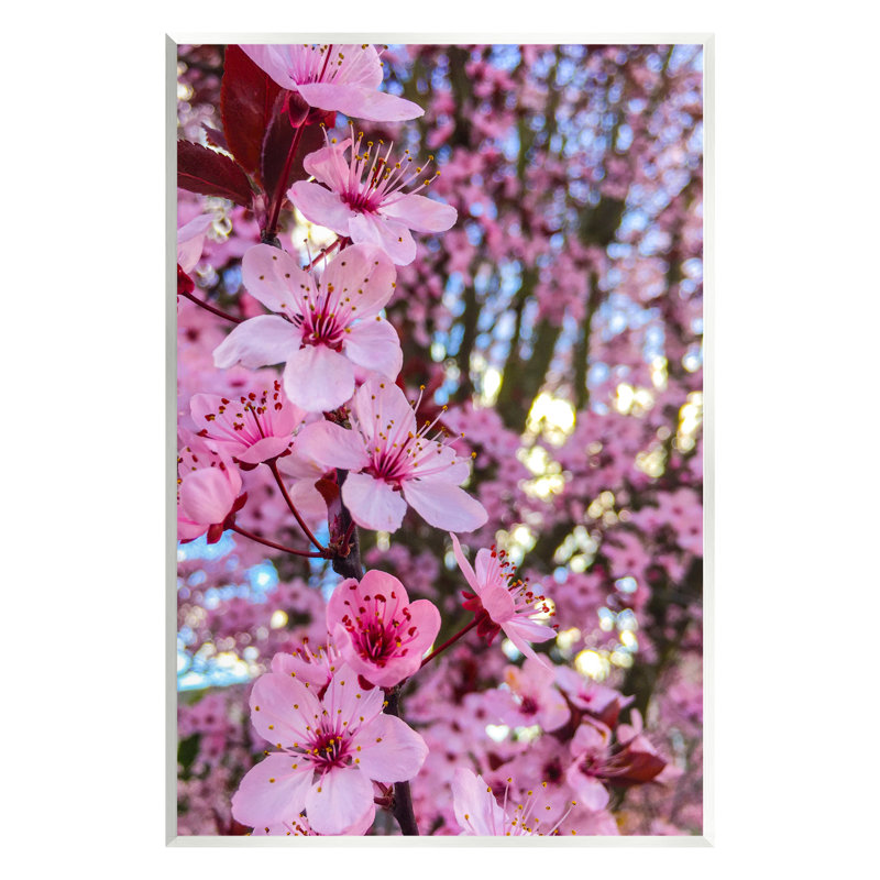 «Spring Cherry Blossom Tree Nature Floater» par Heidi Bannon, H 15 po x l 10 po x P 0,5 po, Bois