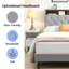 Tufted Upholstered Platform Bed With Convenient Charging Station And Storage Headboard-114193572