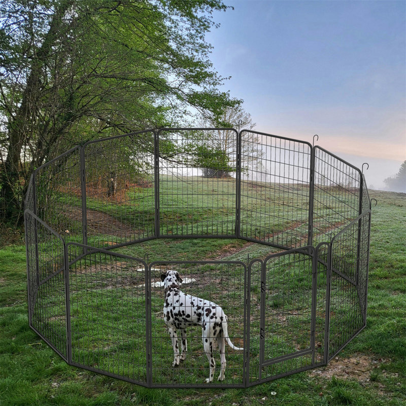 Metal Exercise Pen, 39.37" H x 107.25" W x 107.25" D
