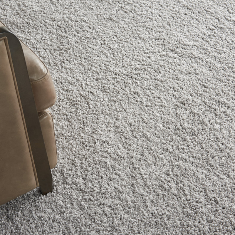 Tapis gris Palo, Rectangle 5 pi 3 po x 7 pi 3 po