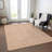 Machine Washable Indoor/Outdoor Claudian ACN1460 Peach Rug-103006314