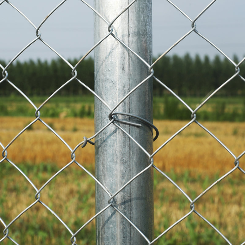 Galvanized Steel Diamond Mesh Chain Link Fence Kit, 4 x 50 ft, Silver