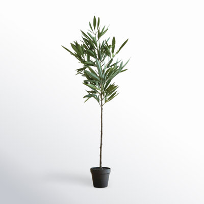 41'' Faux Eucalyptus Tree in Pot