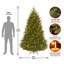 The Holiday Aisle® Natural Fraser Medium Fir Tree with Clear Lights-579344404