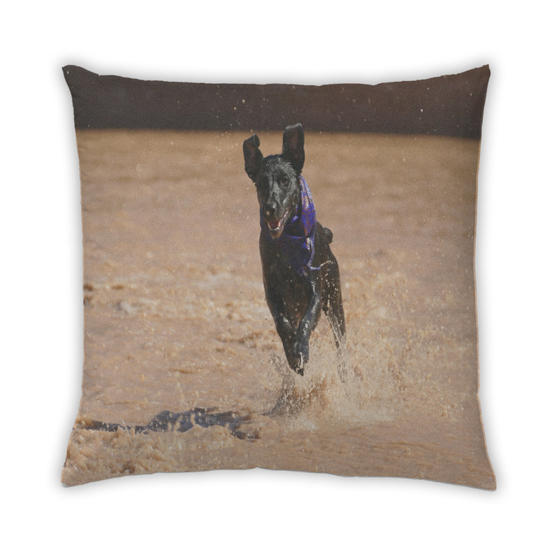 Coussin Dogs Dogs 76, Synthétique