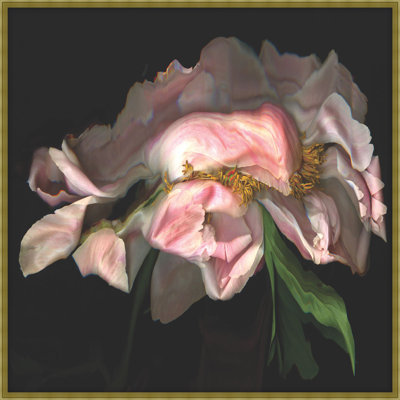 The Flora Dance 1 Print