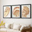 «Vintage Shell Vignette I», impression encadrée sur mesure de qualité supérieure mate - 3 pièces-2126711607-2126711601