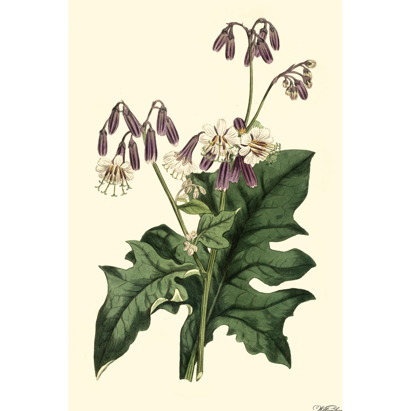 Lavender Florals VII by Curtis - Wrapped Canvas Painting, 76 cm H x 51 cm W, Wrapped Canvas