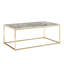 Gatsas Frame Coffee Table-232431879