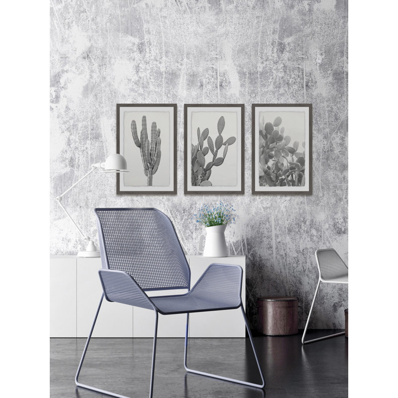 'Cactus Variety Triptych' 3 Piece Framed Photographic Print Set, 36" H x 24" W x 1.5" L