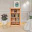 Ireland Bookcase-272081033-474008825