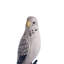 Budgerigar Figurine