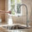 Casa Eclat Pull Down Kitchen Faucet-101810715