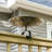 Three Hares Birdbath with Over Rail Bracket