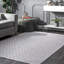 Geometric Cotton Hand Woven Area Rug-966488647
