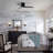 Reyka 44'' Ceiling Fan with LED Lights-1266215728