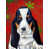 Basset hound 3