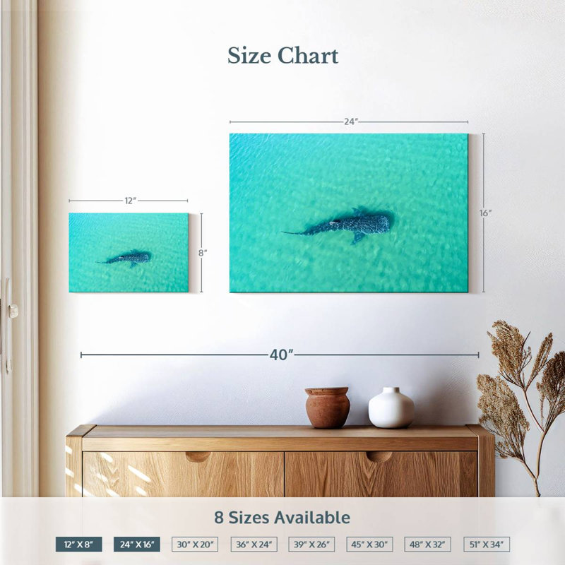 Crowle La Paz Whale Shark, 16" H x 24" W