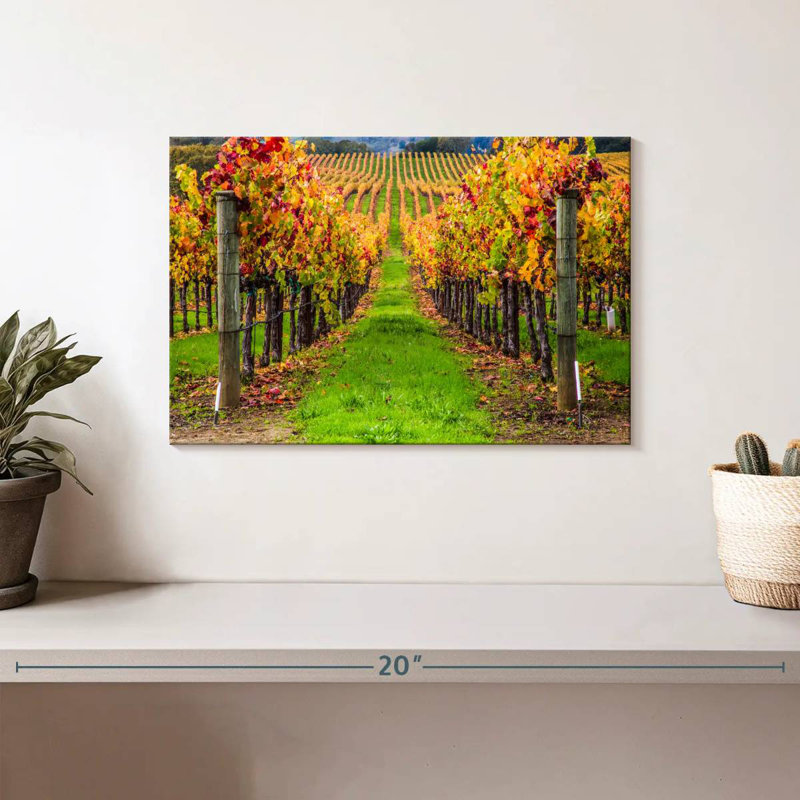 Yarlin California Spring Vineyard, H 8 po x l 12 po