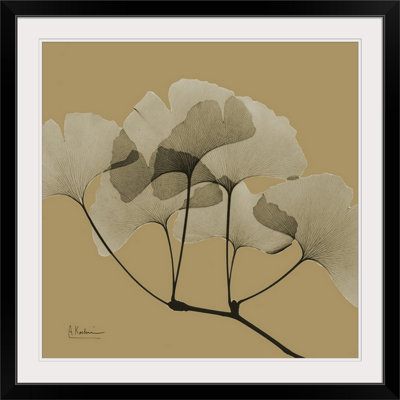 Manigault 'Gingko by Kiranjit Photographic Print