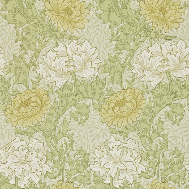 Chrysanthemum Wallpaper, Pale Olive