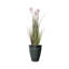 58 po plante de roseau en pot