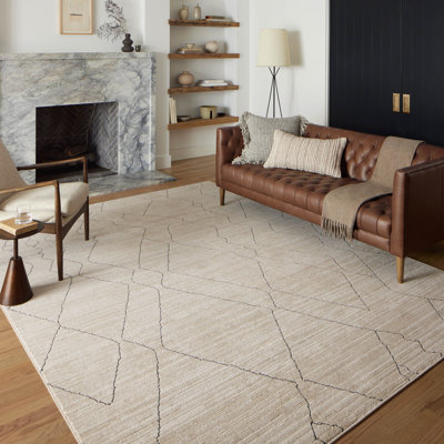 Loloi Darby Sand / Charcoal Area Rug