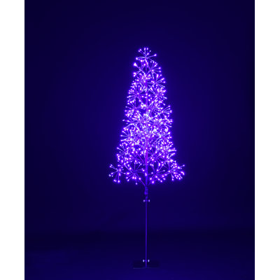 Lighted Trees & Branches