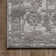 Oriental Light Gray Area Rug