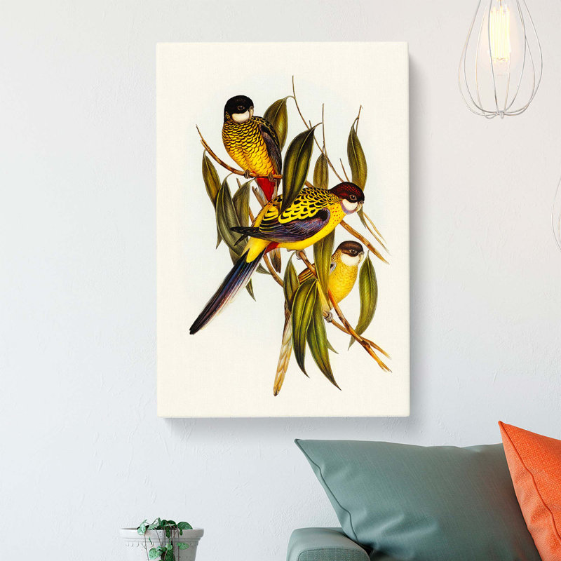 Browns Parakeets by Elizabeth Gould - Wrapped Canvas, 76cm H x 50cm W x 3cm D