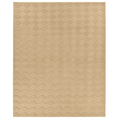 Thayer Indoor Rug