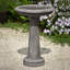 The Essential Birdbath-13918336