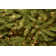 National Tree Company Dunhill Fir Tree with Dual Color LED Lights and PowerConnect