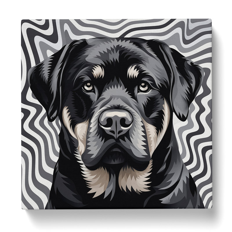 Rottweiler Op Art - Wrapped Canvas - Framed Print, 35cm H x 35cm W x 3cm D