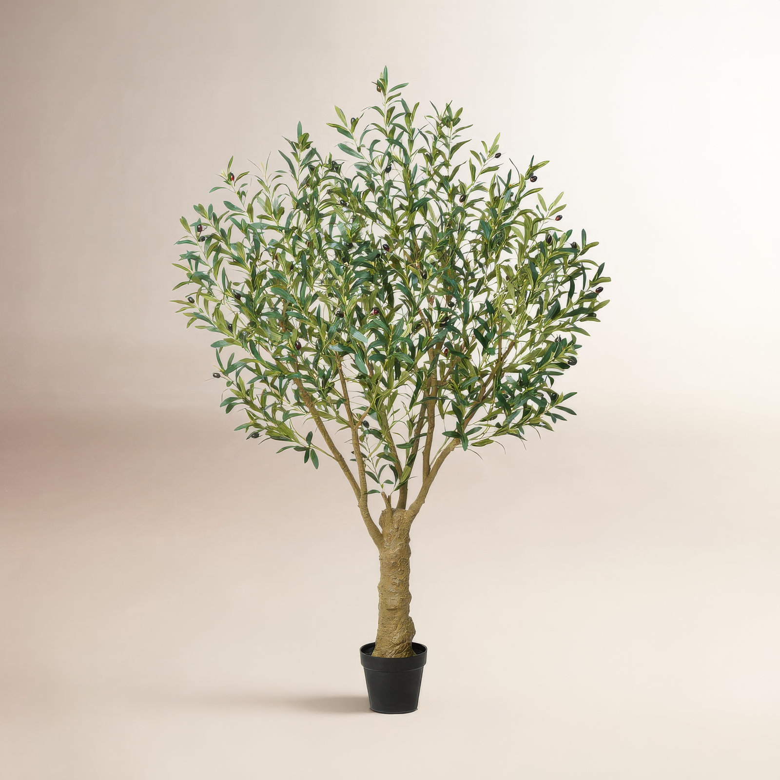 Aldis Olive Tree in Pot, 72" H x 45" W x 45" D