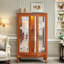 Vitrine avec 2 portes en verre trempé, tablettes réglables et éclairage DEL-724628289