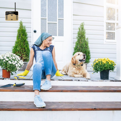 Wireless Electric Dog Fence