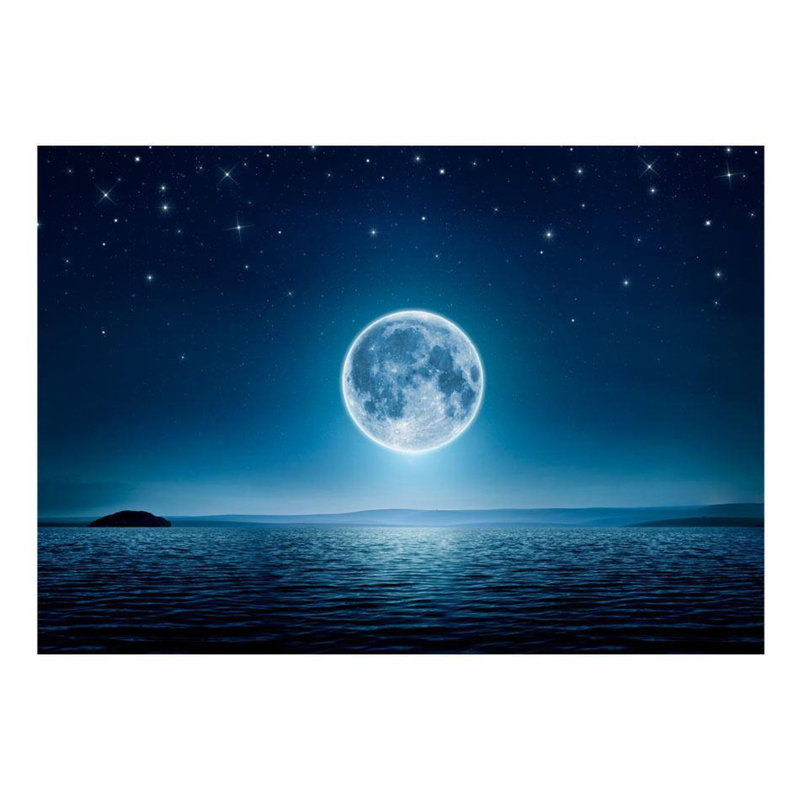 Murale nuit de nuit Carrcroft, L 68 po x l 96 po