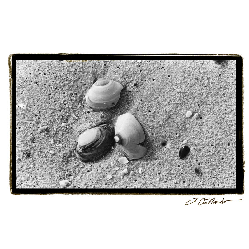 Sand Treasures V by Laura DeNardo - Wrapped Canvas Art Prints, 20cm H x 30cm W