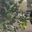 Photos des clients 1 de 1