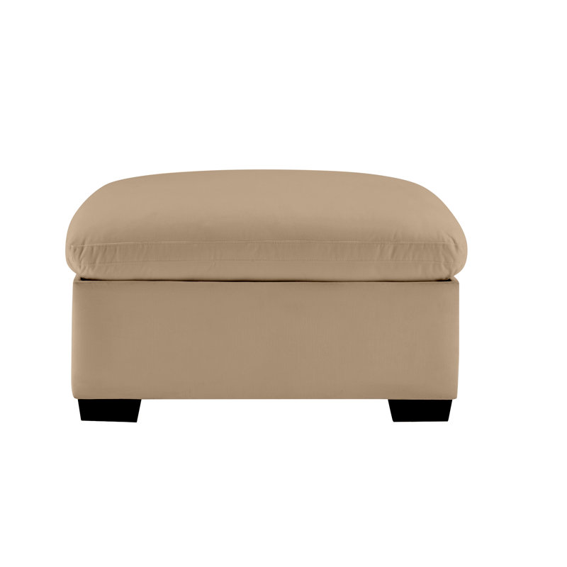 37.8" Velvet Fabric Upholstered Ottoman with Storage, Brown